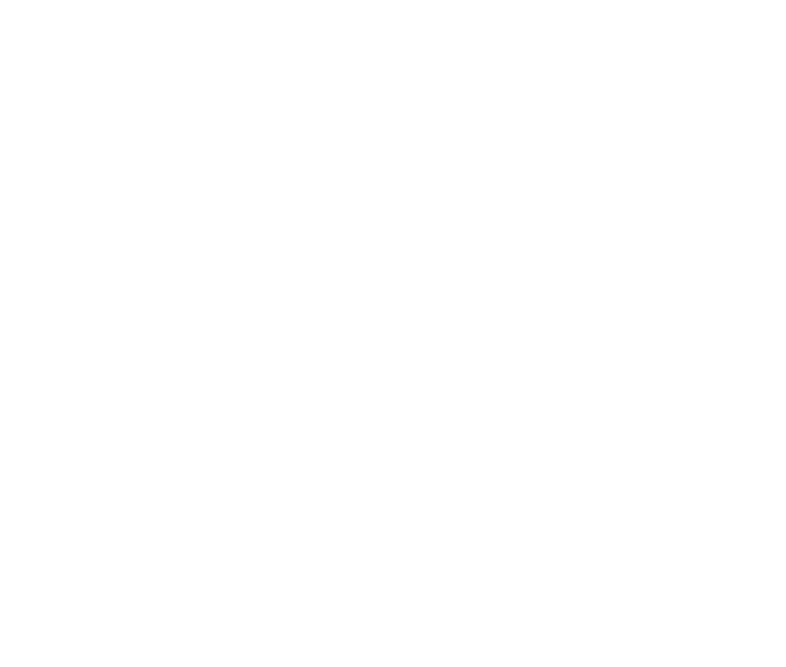 Anaki Services logo